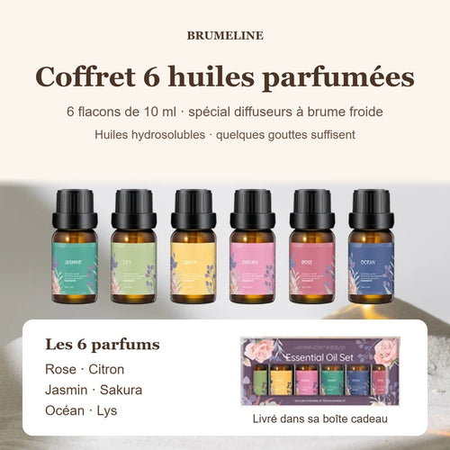 Coffret de 6 huiles parfumées de 10 ml pour diffuseur
